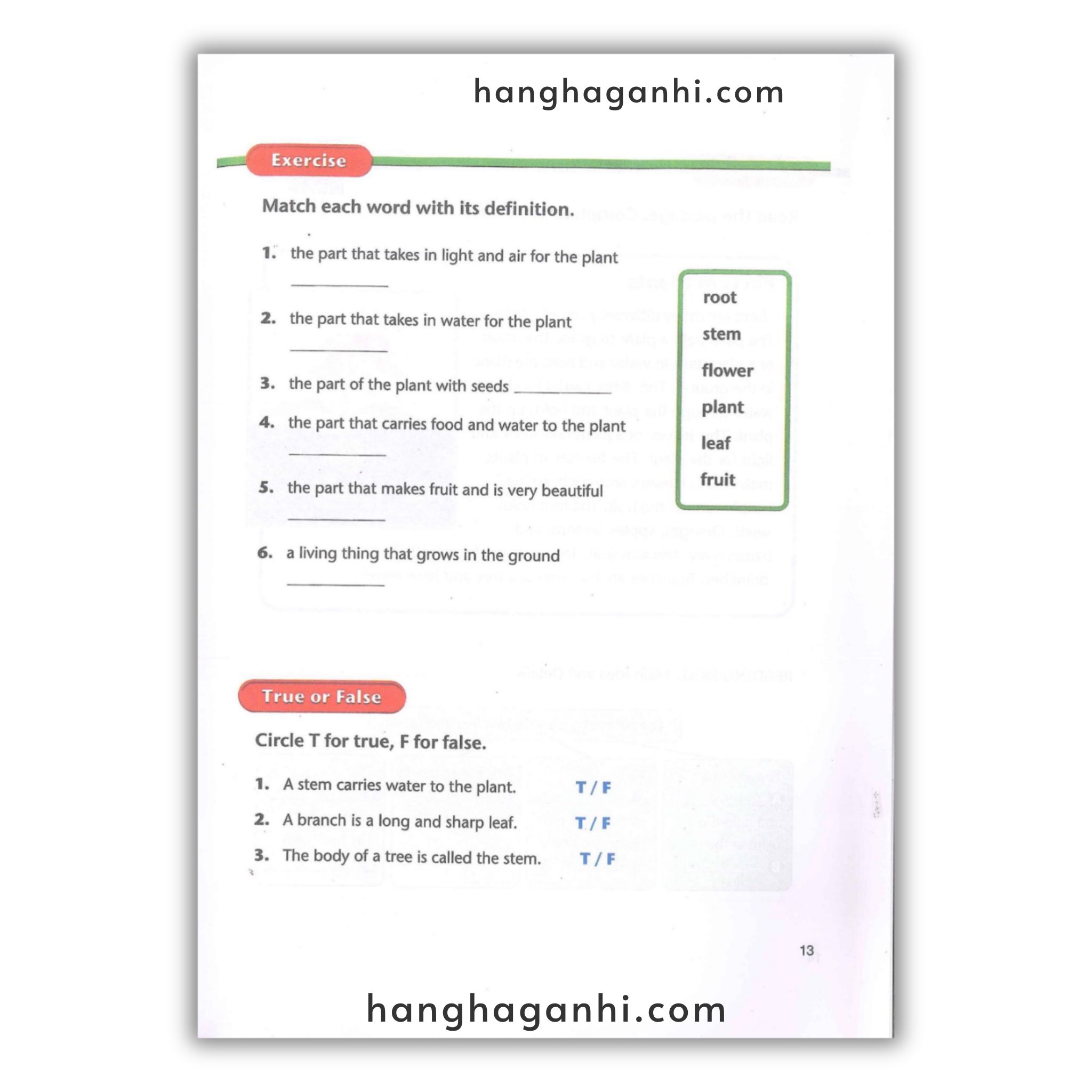 American Text Book Reading – Trọn Bộ 4 Grade 8 cuốn ( Kèm File nghe và Video)_thumbnail_2