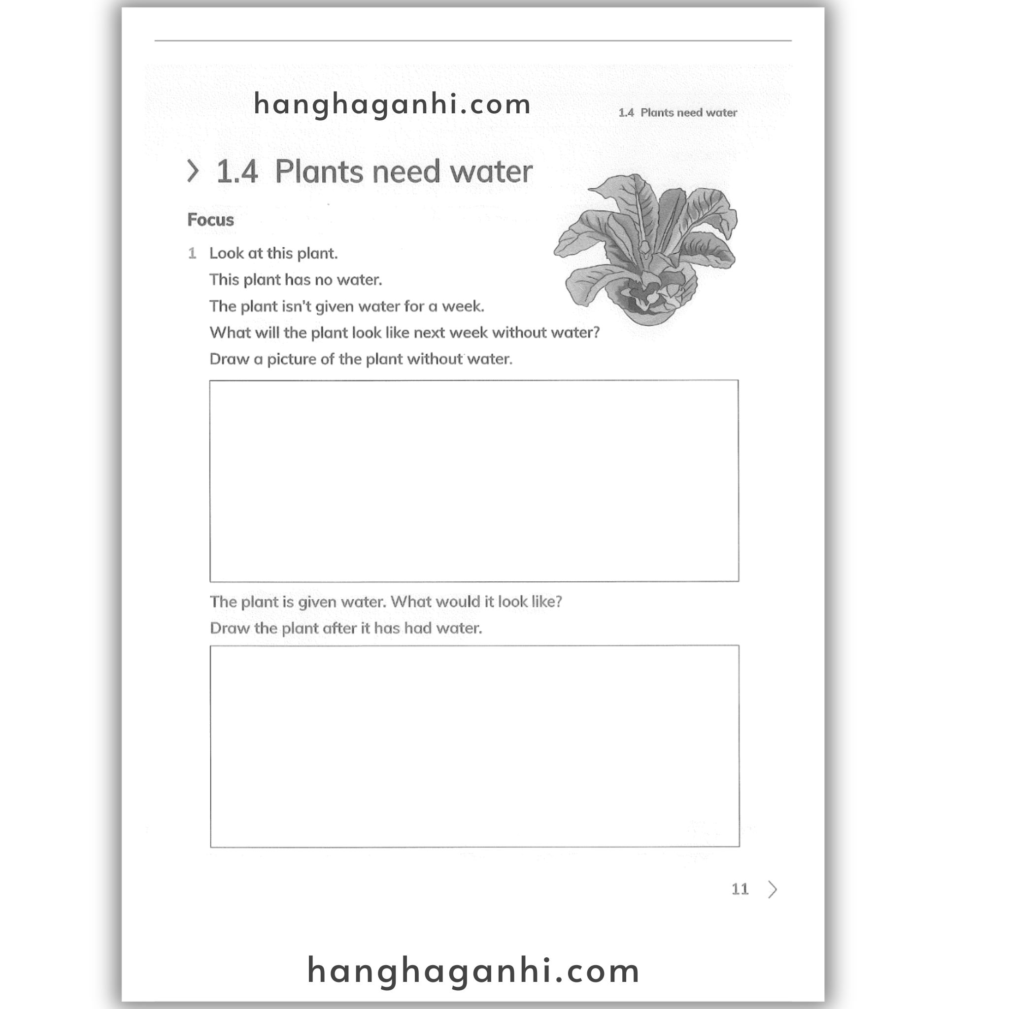 Cambridge Level 1 Primary Science Workbook 2nd edition 2021_thumbnail_9
