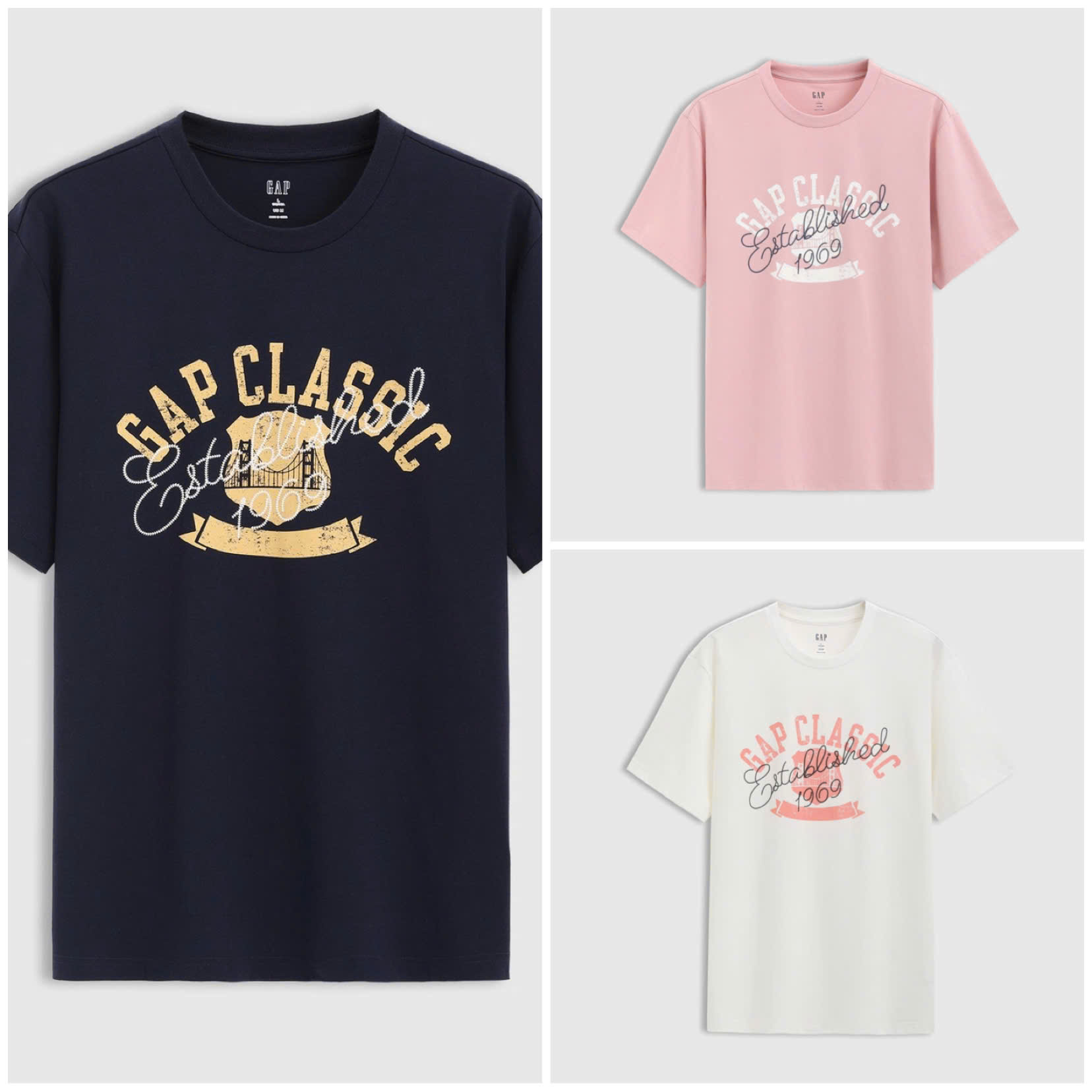 A64 ÁO GAP CLASSIC 3 MÀU