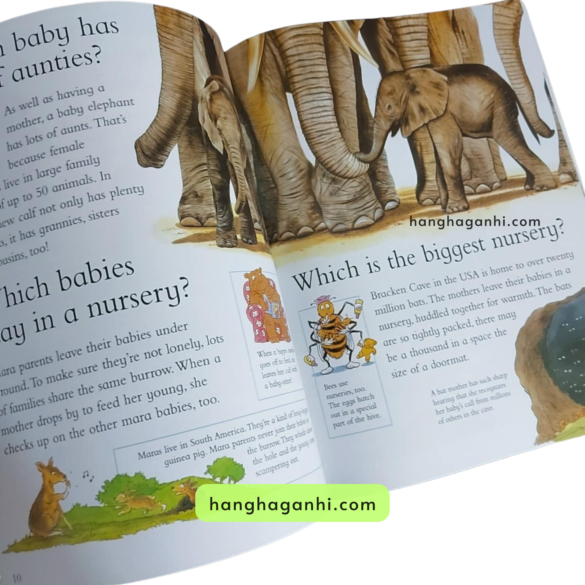 I wonder why, Bộ 24 cuốn Sách Khoa học cho bé nhập khẩu nguyên seal kèm file nghe giọng bản ngữ_thumbnail_15