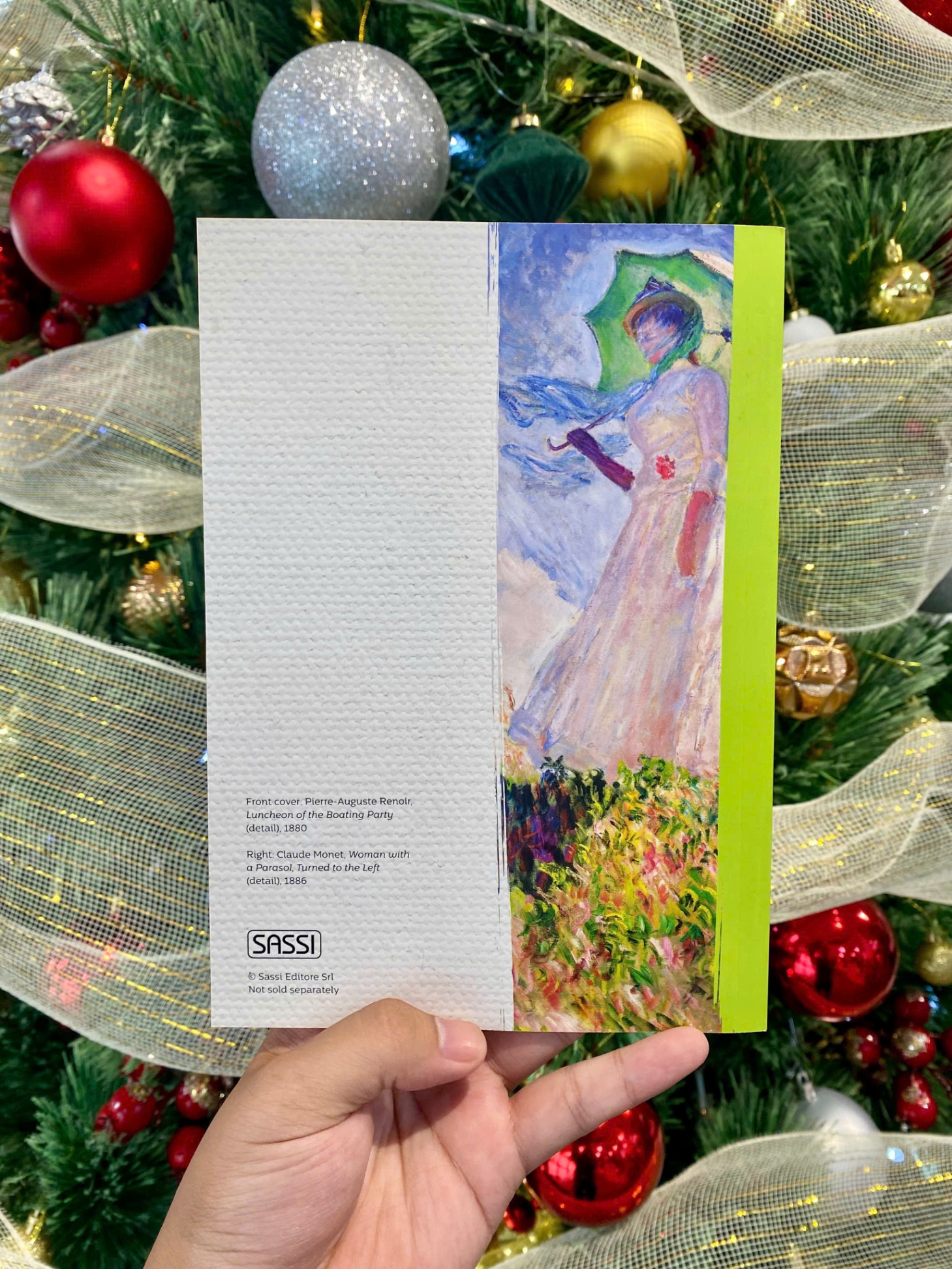 MONET AND THE IMPRESSIONISTS (Sassi Junior)_thumbnail_5