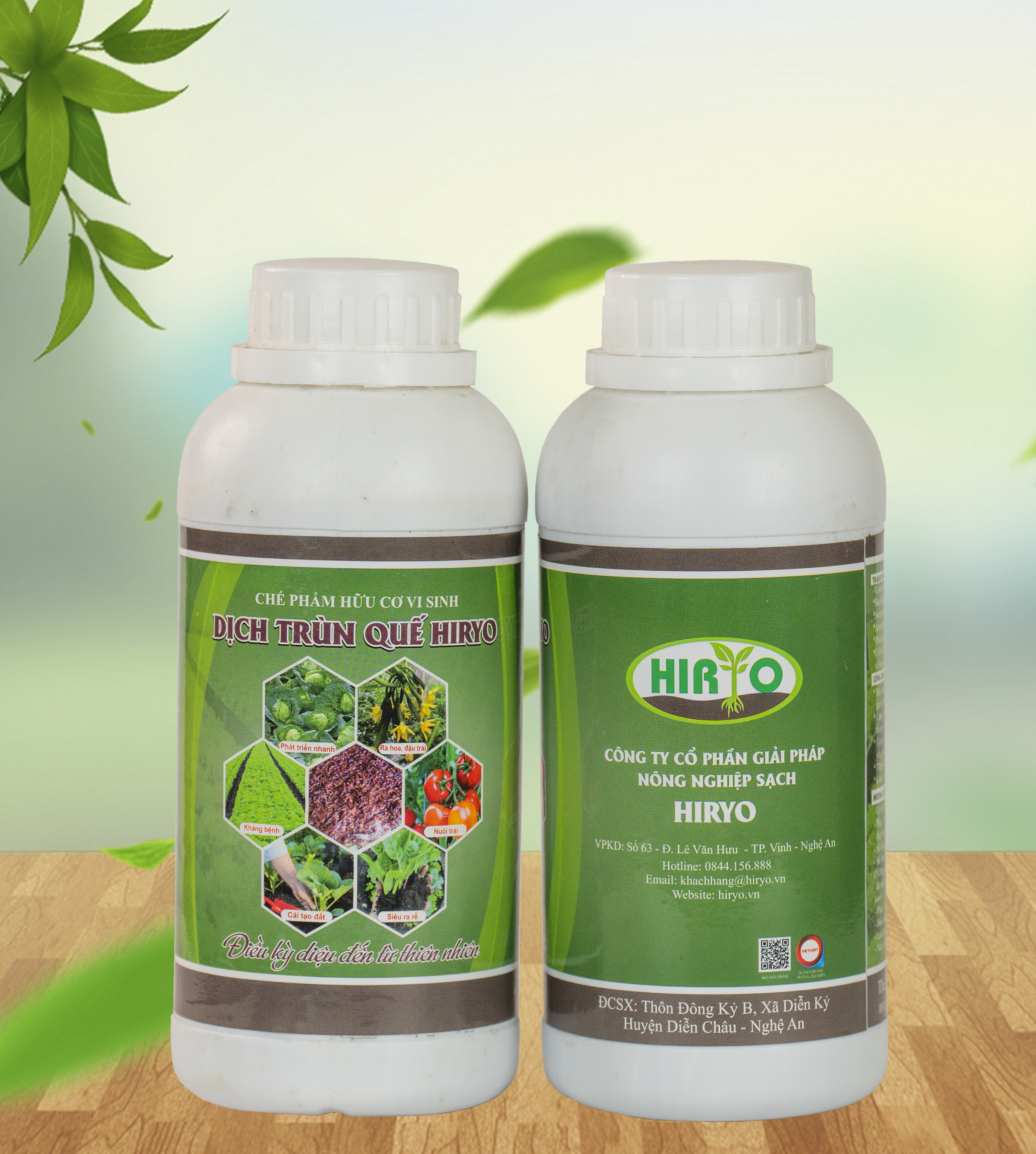 Dich trùn quế hiryo