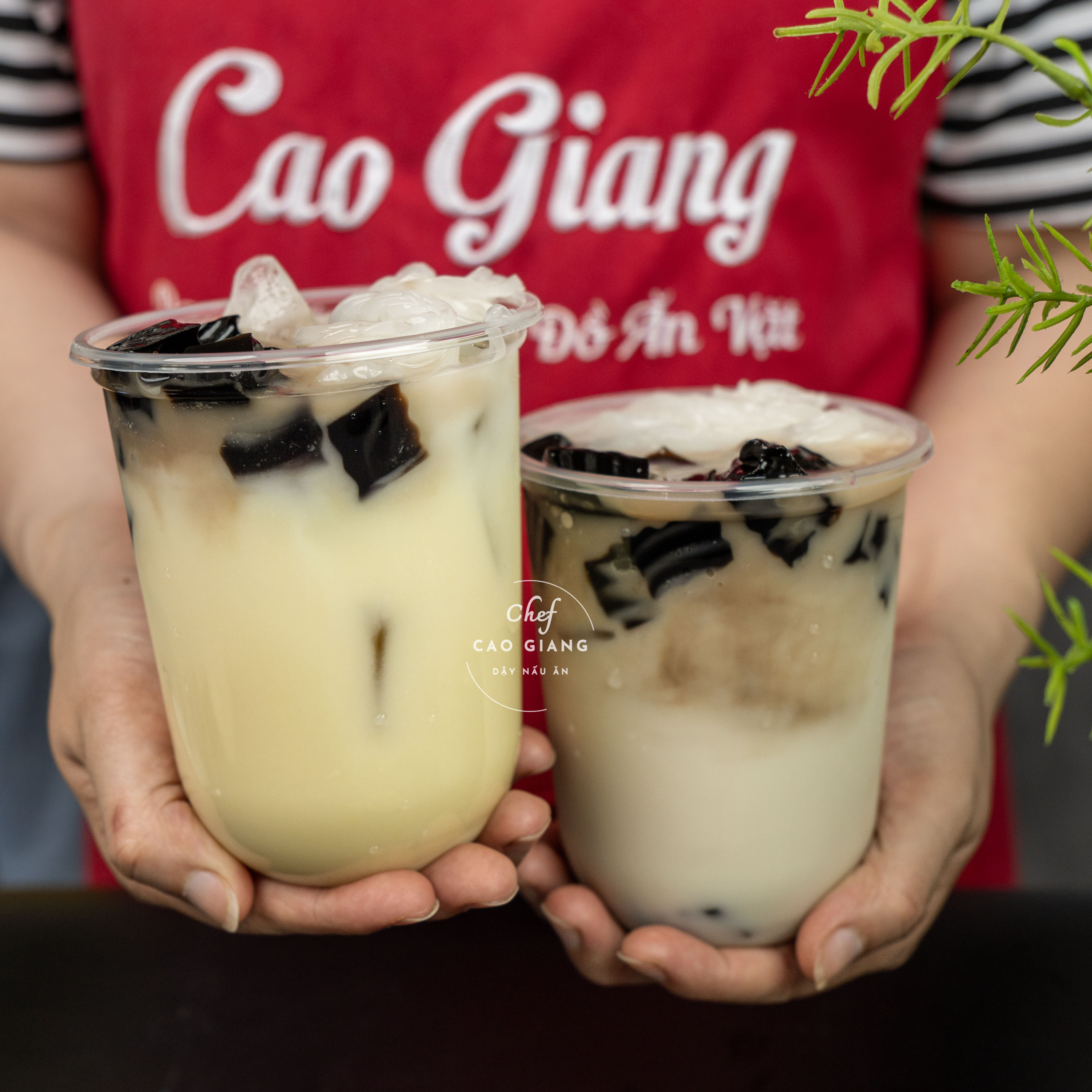 Lớp Đậu Xanh Sương Sáo