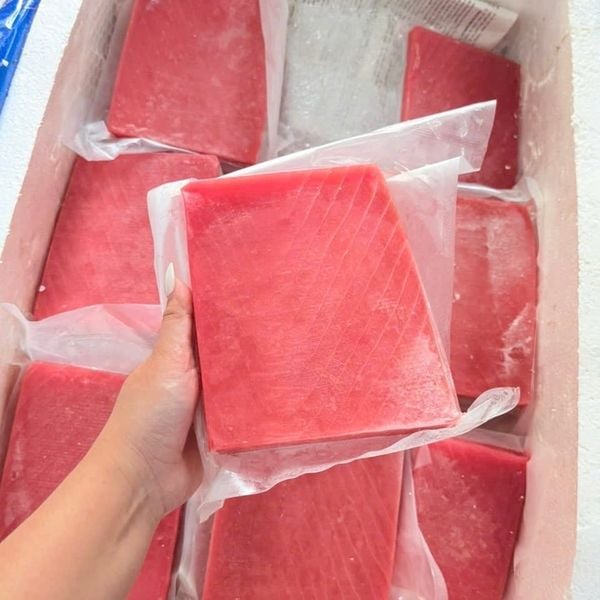 CÁ NGỪ ĐẠI DƯƠNG SAKU A4 SASHIMI 