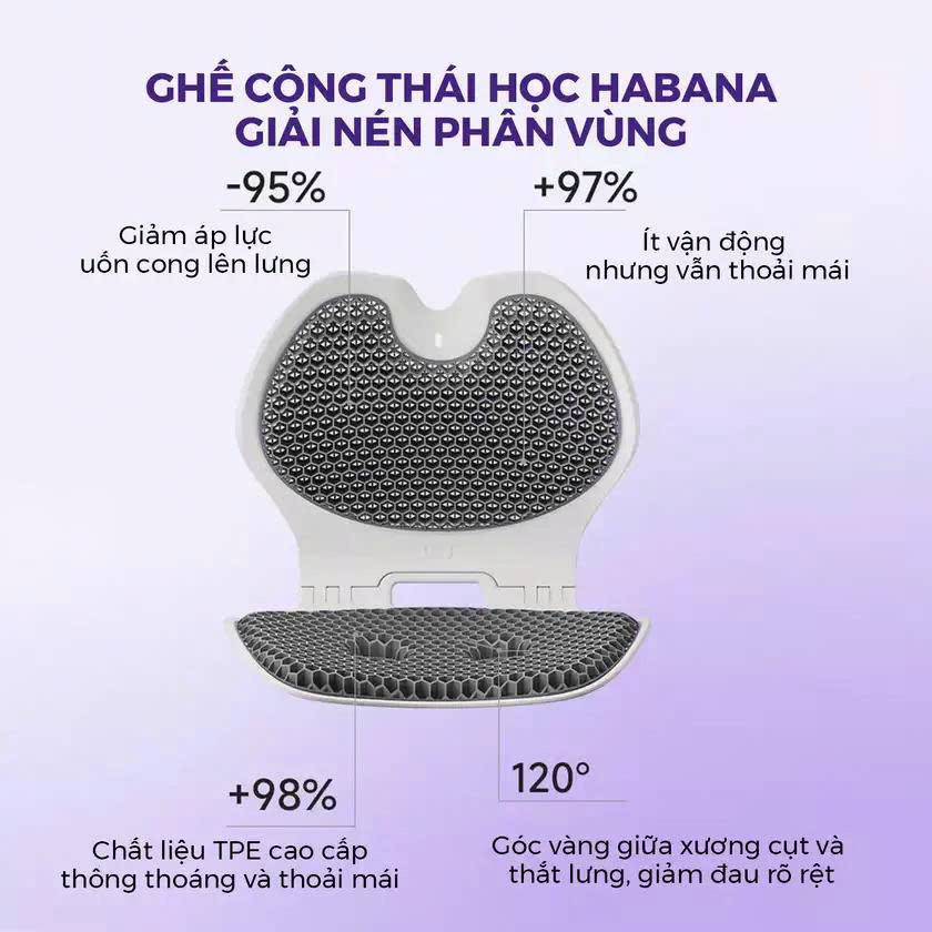 Ghế Chỉnh Dáng EGO HABANA_thumbnail_6