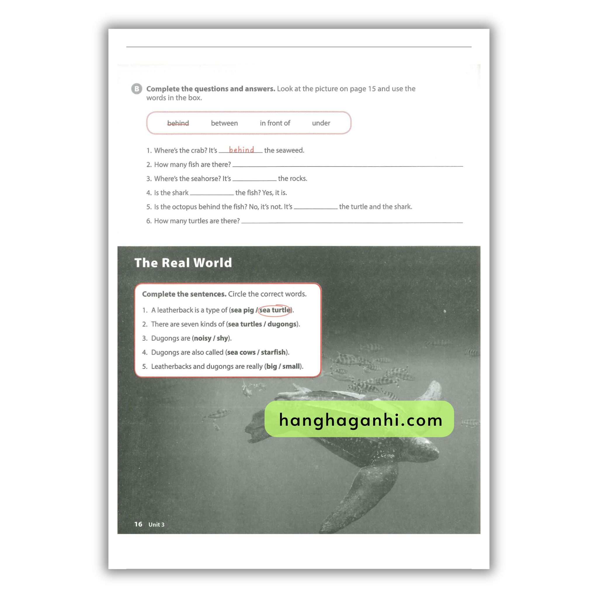 Time Zones 1 Workbook (Second Edition)_thumbnail_12