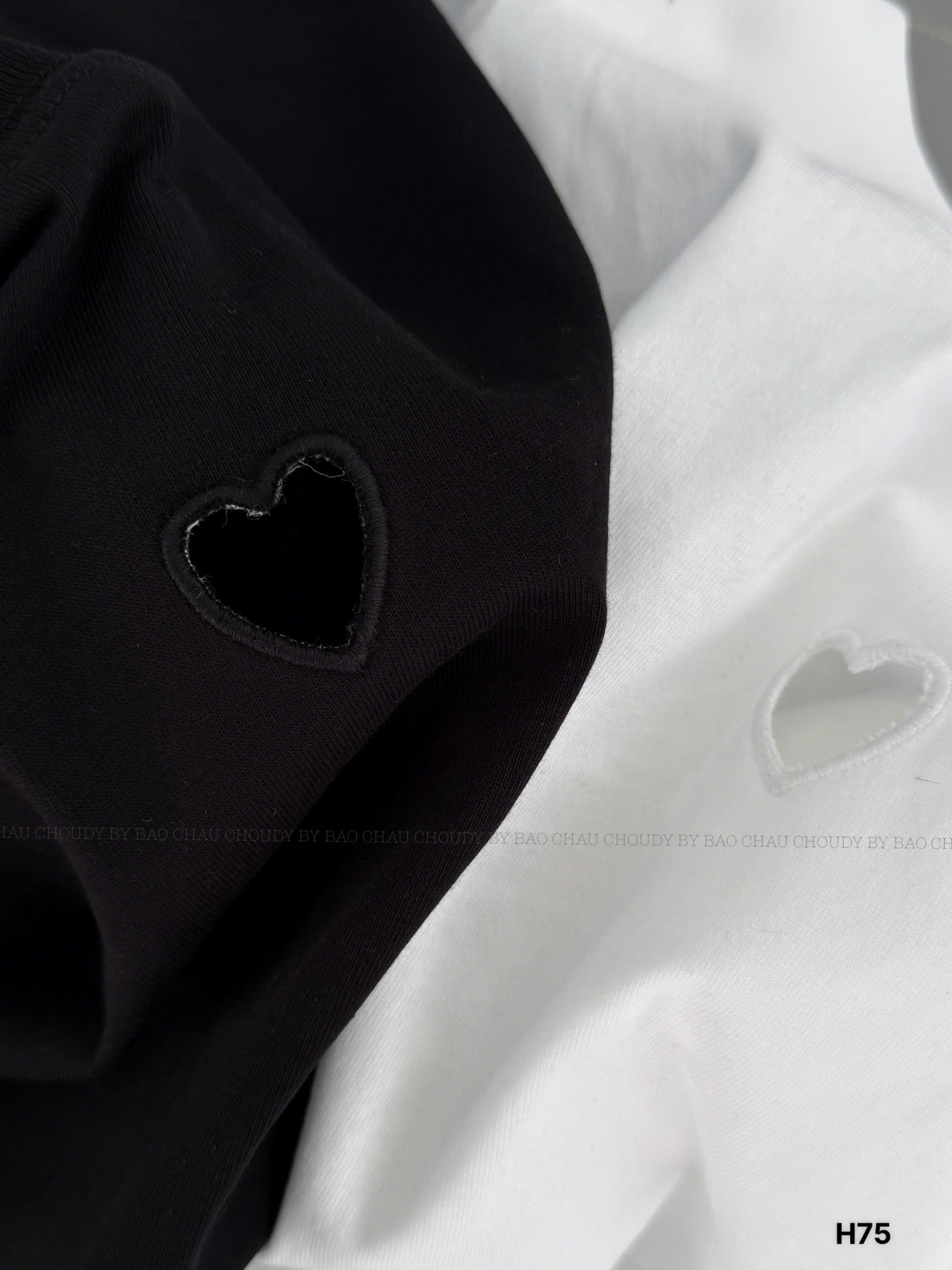 H75 ÁO THUN 2 MÀU_thumbnail_4