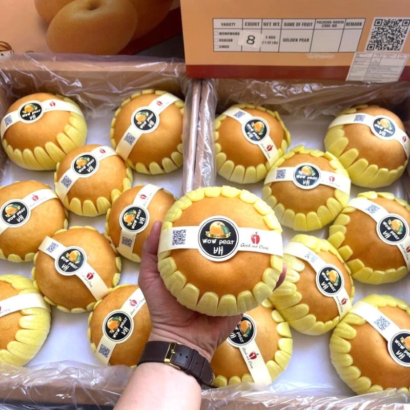 Lê Nâu (N1F)_thumbnail_2