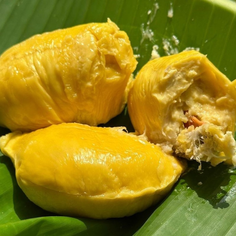 Sầu Riêng MusangKing_thumbnail_3