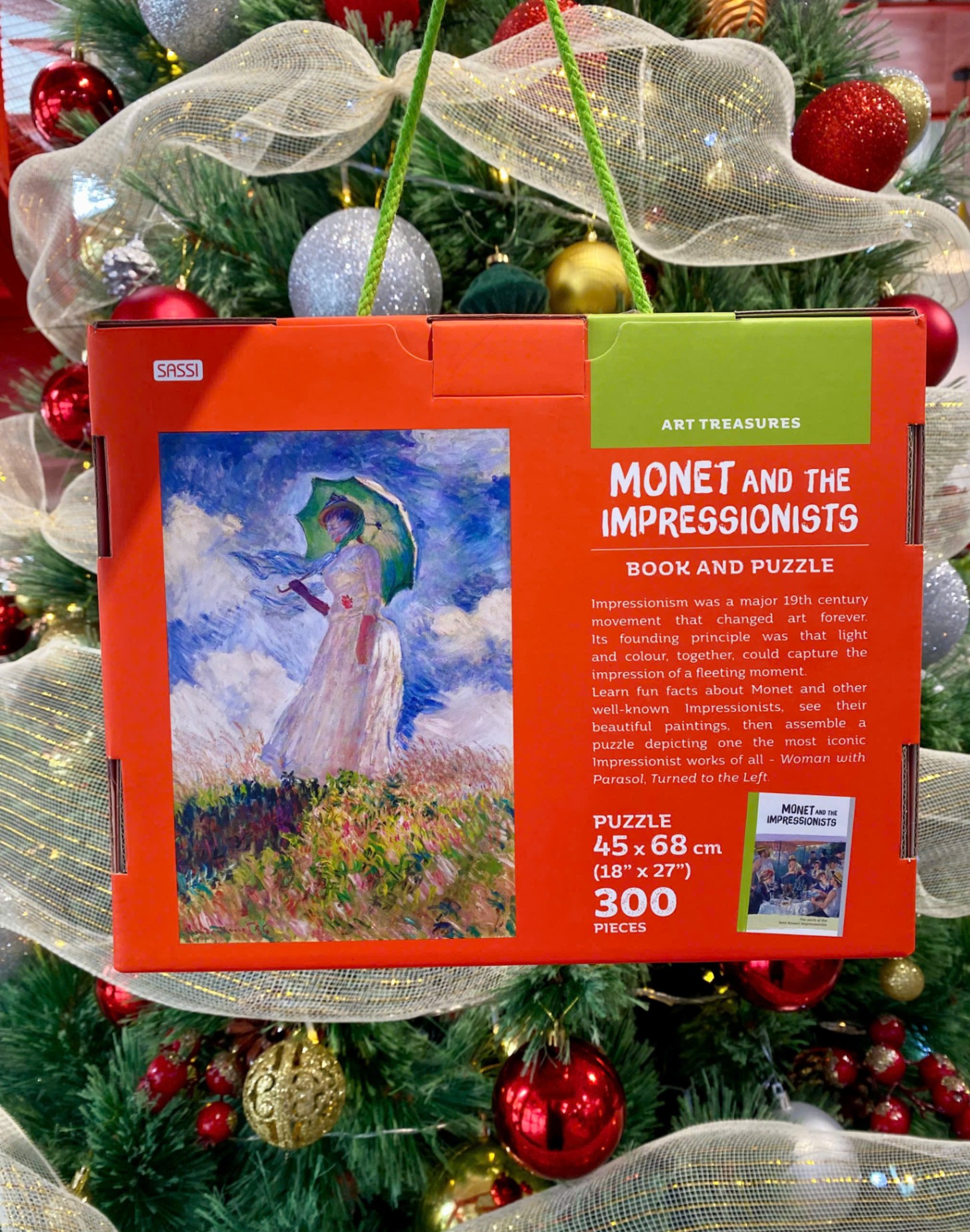 MONET AND THE IMPRESSIONISTS (Sassi Junior)_thumbnail_1