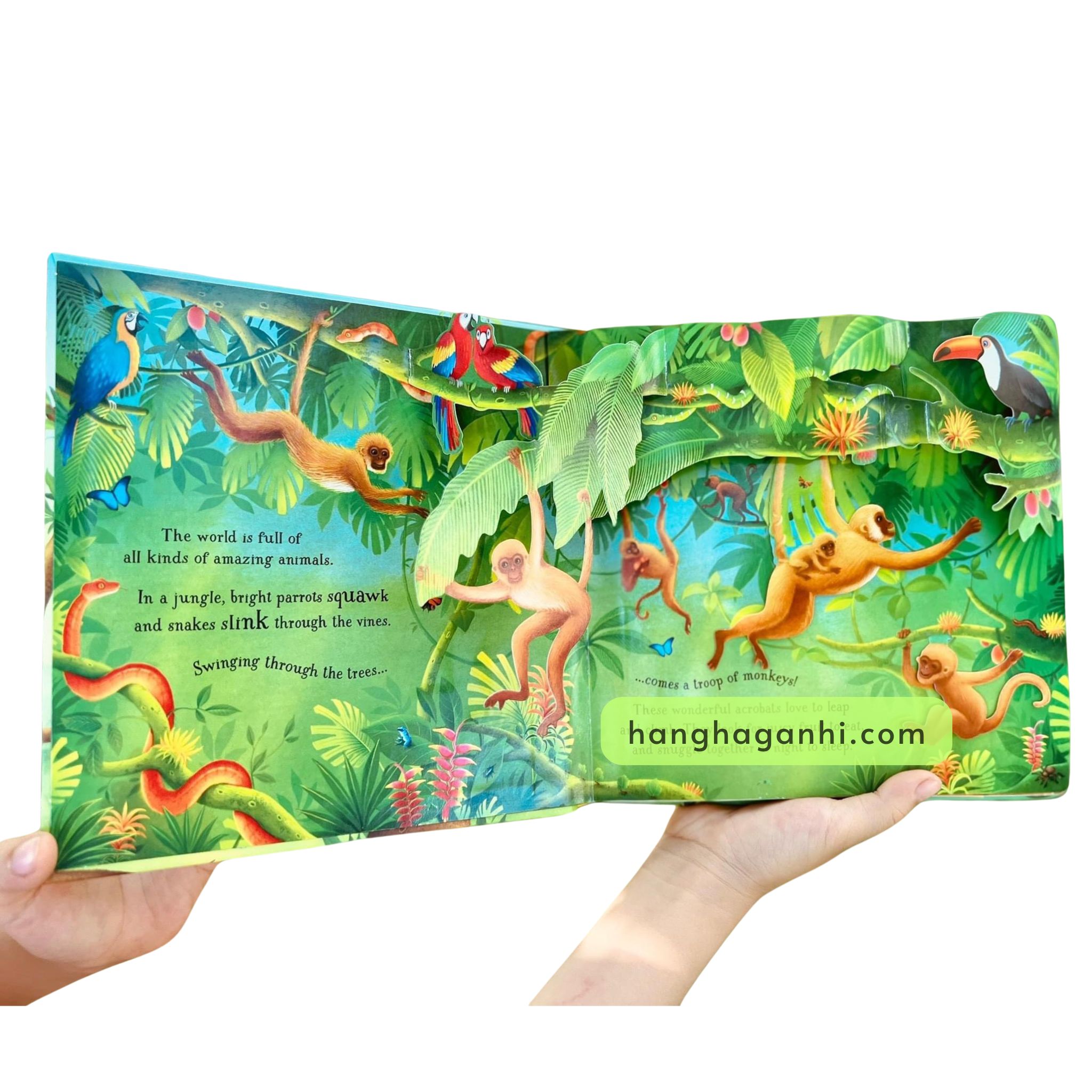 Usborne Popup Animals_thumbnail_4