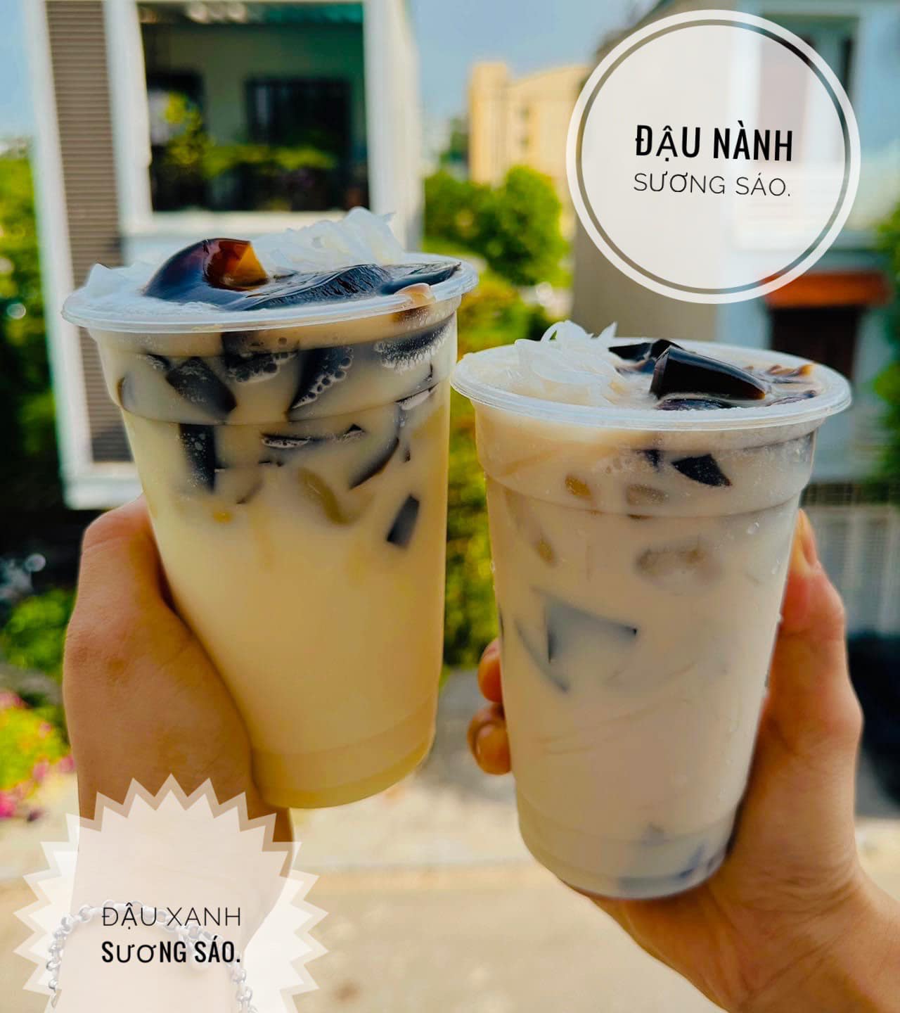 Lớp Đậu Xanh Sương Sáo_thumbnail_6