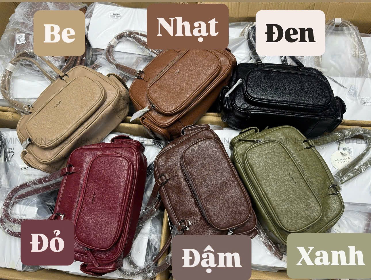 TUI DIANA & Co_thumbnail_3