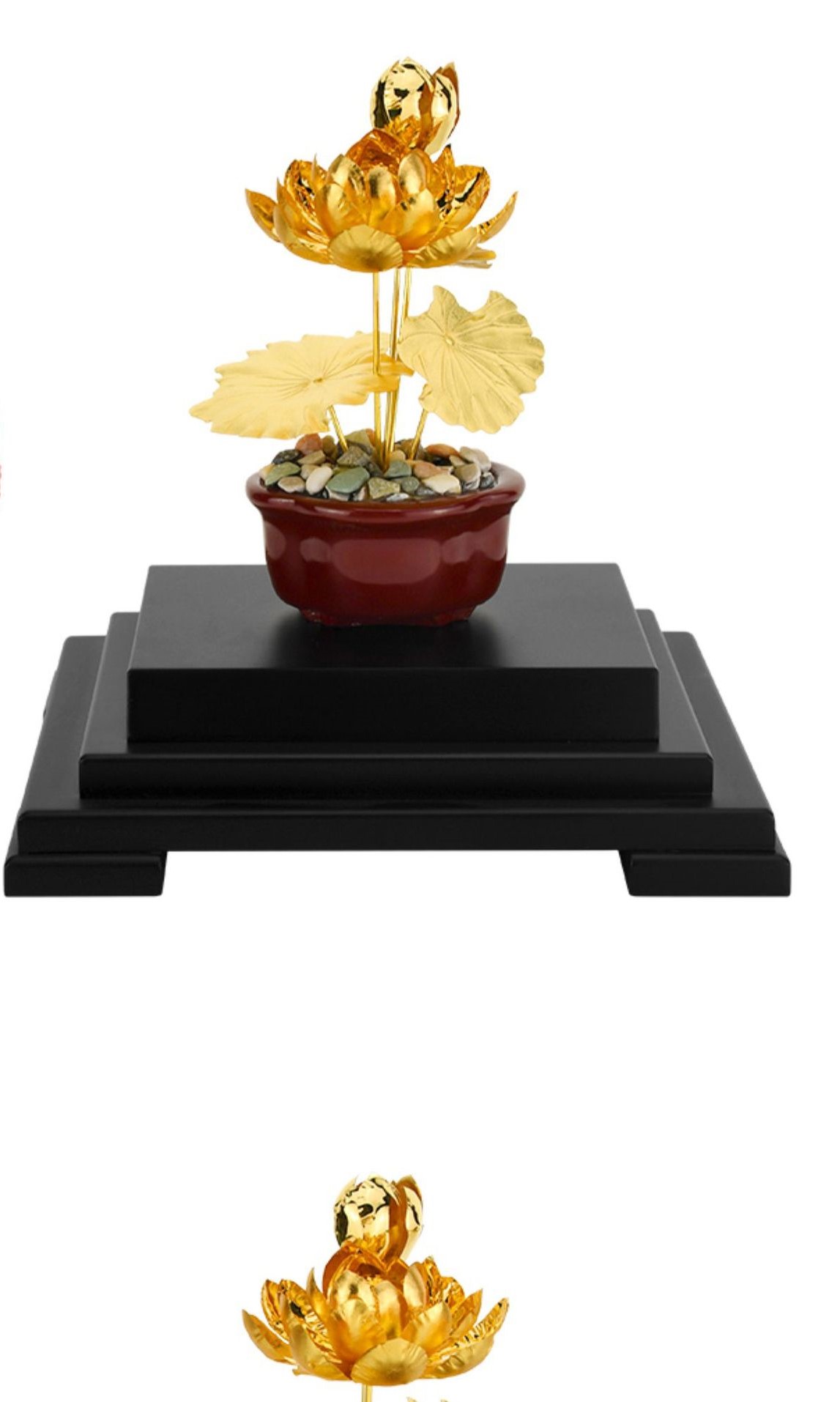 Hoa sen mạ vàng 24k _thumbnail_4