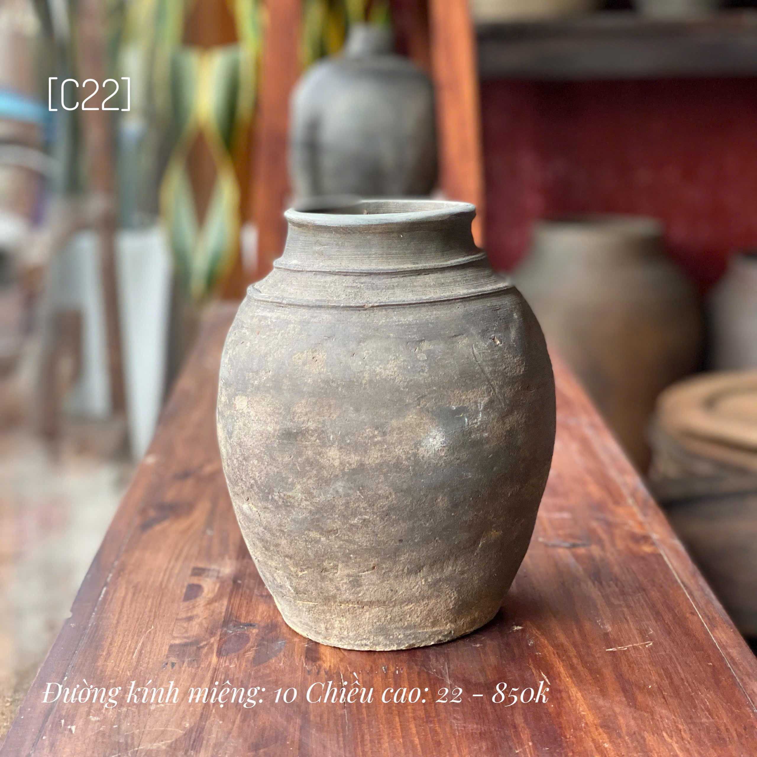 Bình Mường Chanh nhỏ - C22