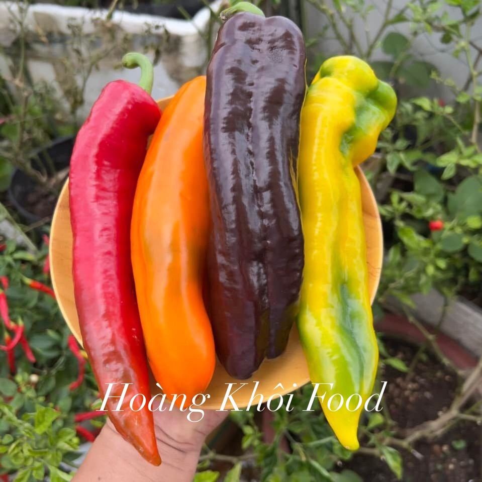 Ớt Ngọt Sweet Palermo_thumbnail_1