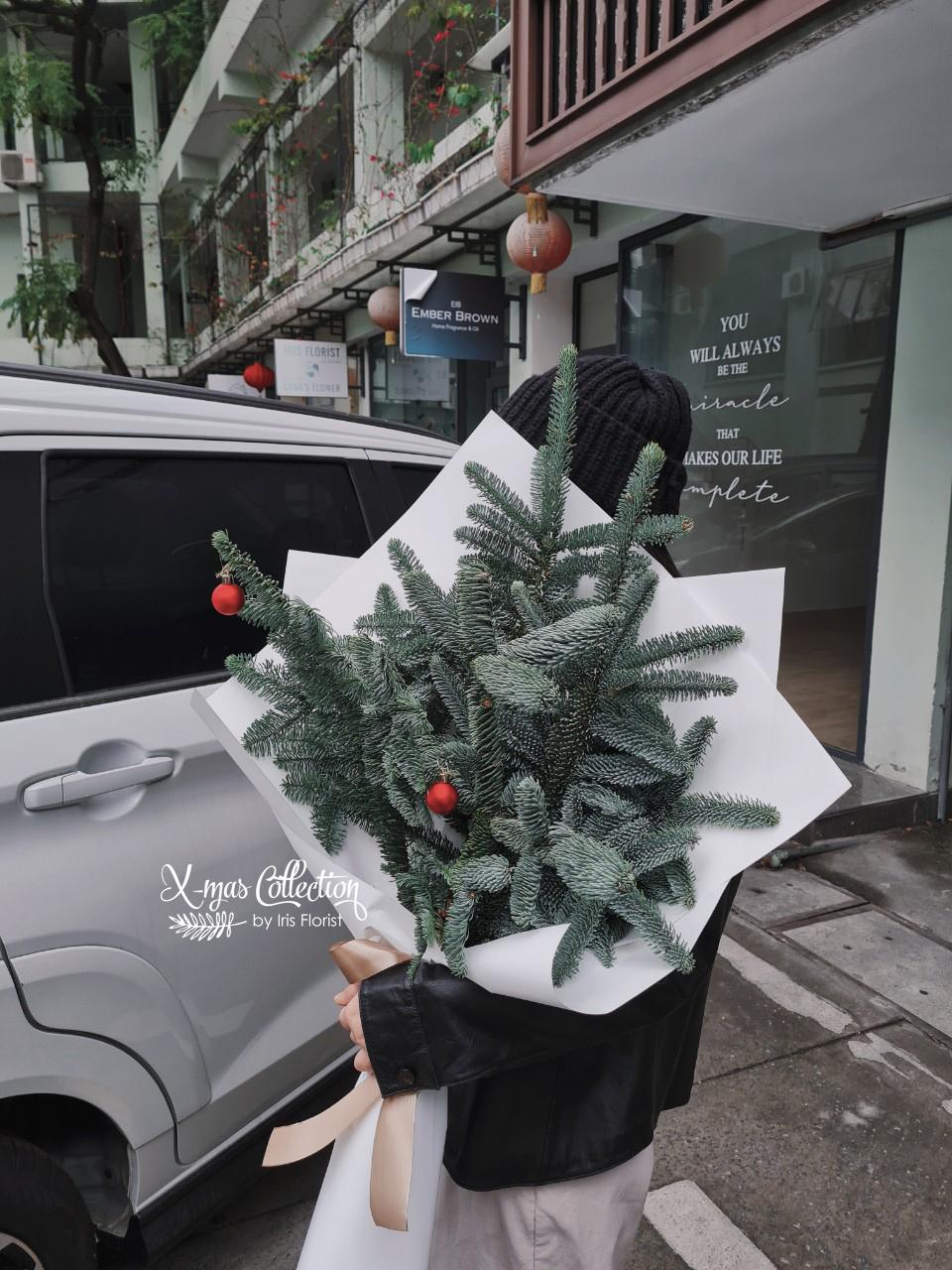 Bó thông Đan Mạch - Size L