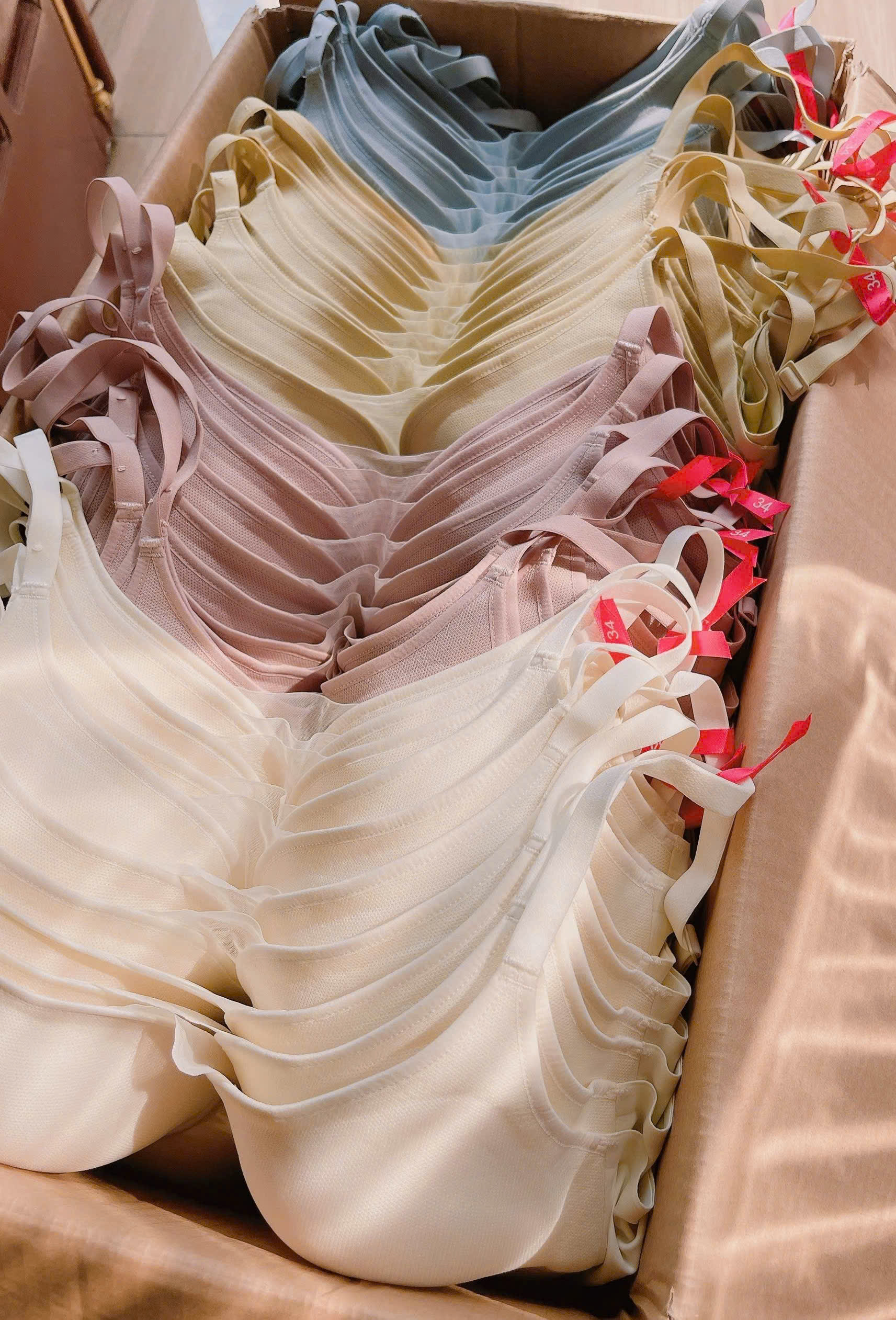 A426 Áo ngực ko gọng_thumbnail_6